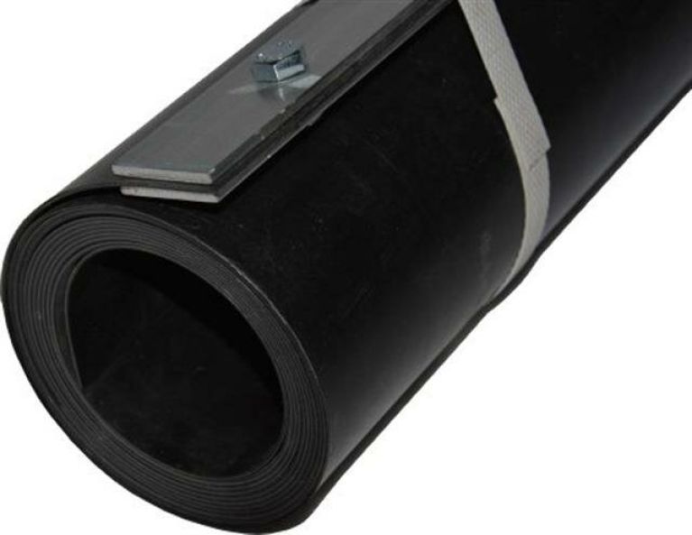 Epipremnum Pinnatum Global Green