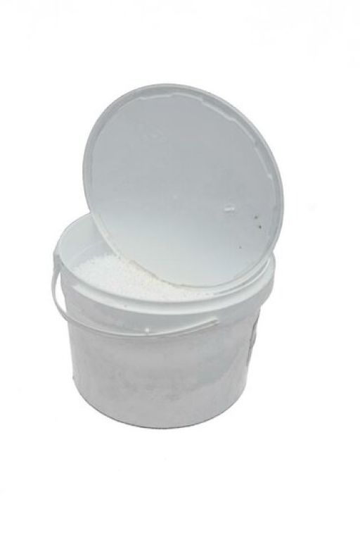 Hoya Krohniana Silver blad