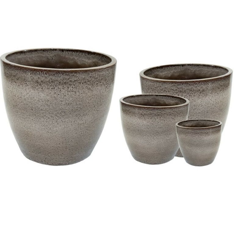 Syngonium Pink Splash